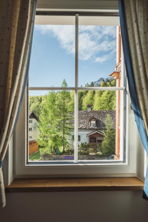 Salzweg Apartment Bad Goisern